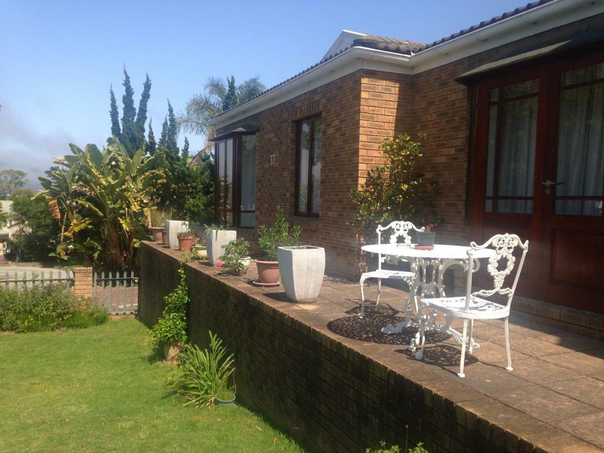 Blue Fern Of Knysna Acomodação com café da manhã Exterior foto